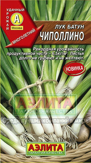 Лук батун Чиполлино 0,5гр