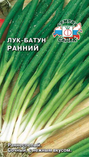Лук батун Ранний 200шт/1-2гр