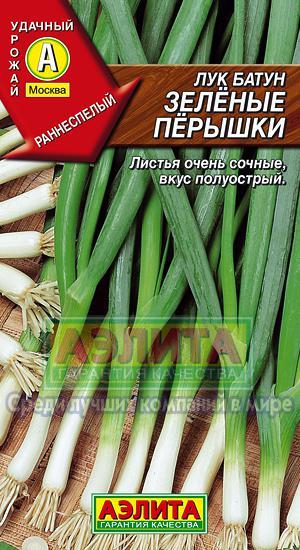Лук батун Зеленые перышки 1гр