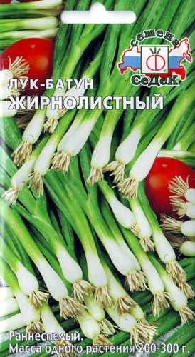 Лук батун Жирнолистный 1гр