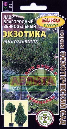 Лавр Экзотика вечнозеленый 0,5-1,5гр