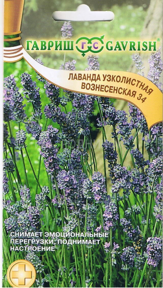 Лаванда Вознесенская 34 0,05гр/200