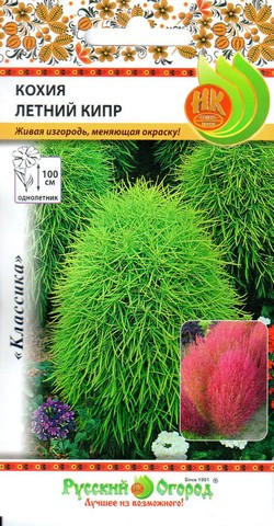 Кохия Летний Кипр 0,1-0,3гр