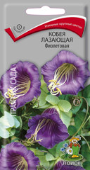 Кобея лазающая Фиолетовая 5шт