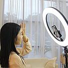 Профессиональная кольцевая лампа для селфи ZNL18 480, фото 2