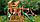 Детская площадка «Гириджи», качели, горка, скалодром, сетка лазалка, горка труба, фото 7