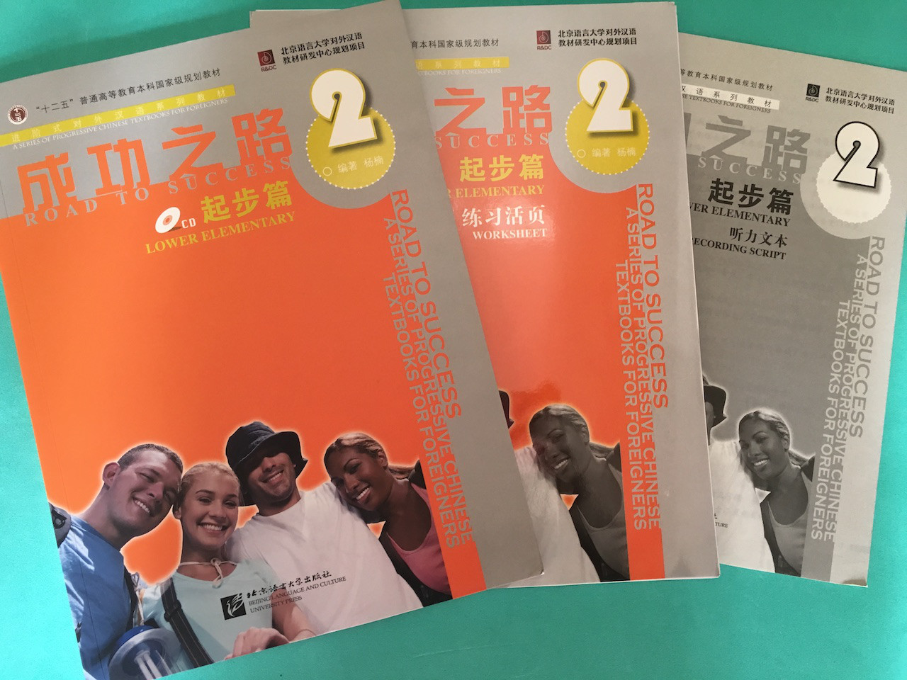 Road to Success. Lower Elementary. Vol 2. (with Worksheet)