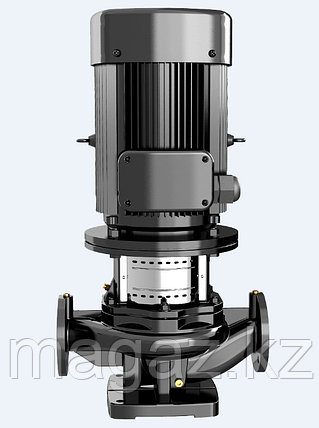 Циркуляционный насос LEO LPP150-33-30/4, фото 2