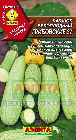 Кабачок Грибовские 37 2гр