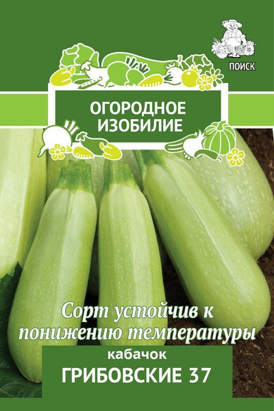 Кабачок Грибовские 37 2 гр
