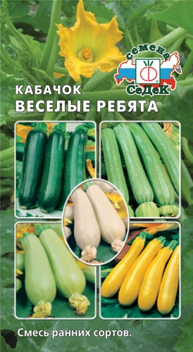 Кабачок Веселые Ребята 2гр