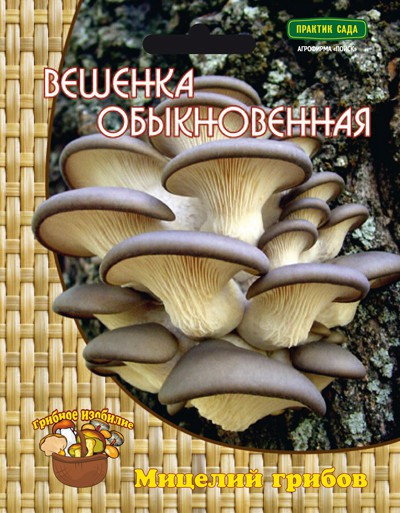 Грибы Вешенка обыкновенная 12шт