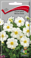 Георгина Мигнон белая 0,2гр
