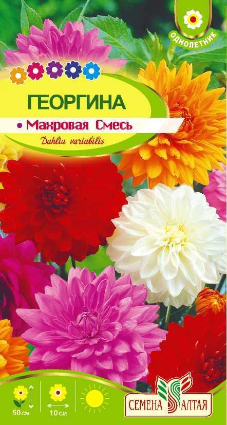 Георгина Махровая смесь окрасок 0,2гр