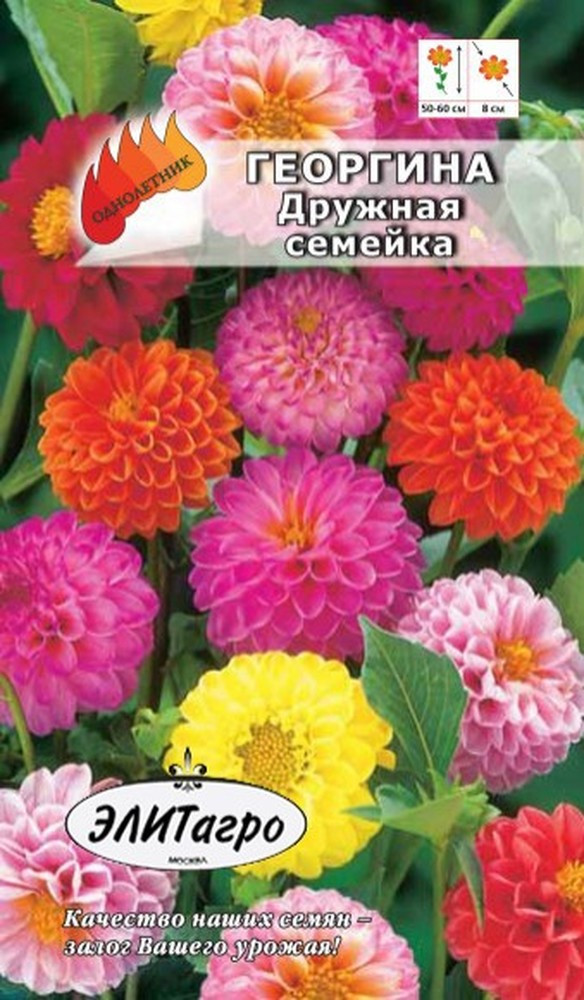 Георгина Дружная семейка шаров.смесь 0,2гр