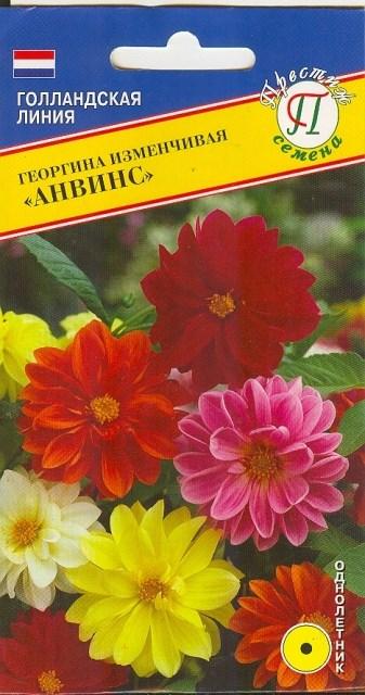 Георгина Анвинс изменч. 20шт