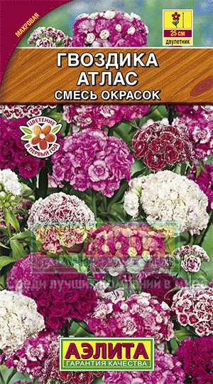 Гвоздика турецкая Атлас смесь 0,3гр