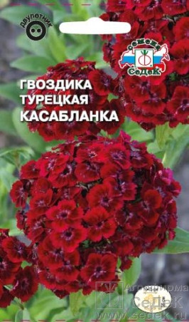 Гвоздика Касабланка турецкая 0,5 гр.
