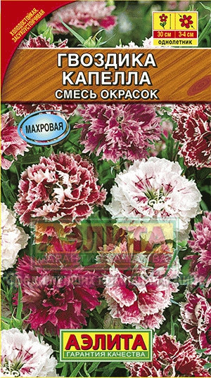 Гвоздика Капелла китайская махровая 0,5гр