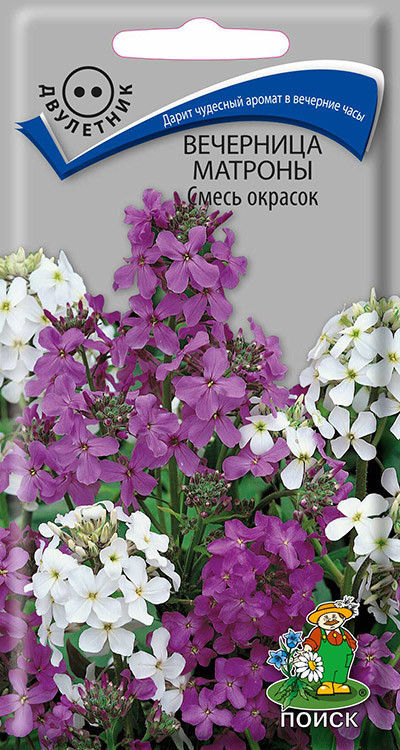 Вечерница Матроны Смесь окрасок 0,3гр