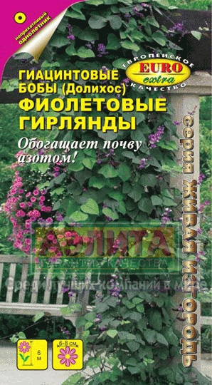 Бобы Фиолетовые гирлянды гиацинтовые 1гр