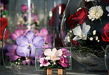 Игры со светом 1