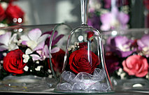 Игры со светом 9