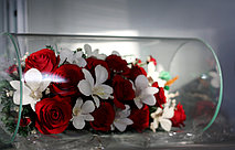 Игры со светом 11