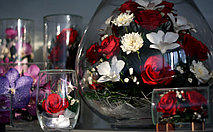 Игры со светом 14