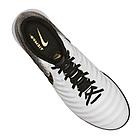 СОРОКОНОЖКИ Nike Tiempo LegendX, фото 2