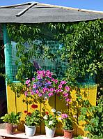 Купить Сетки для арок, беседок, пергол, шпалер