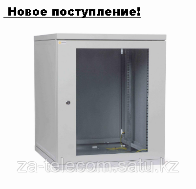 Шкаф телекоммуникационный настенный разборный SN-RNK 19" 15U-06-06-ДС-2БГ-7035
