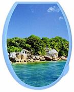 Сиденье - крышка для унитаза с декором "Остров" 111007