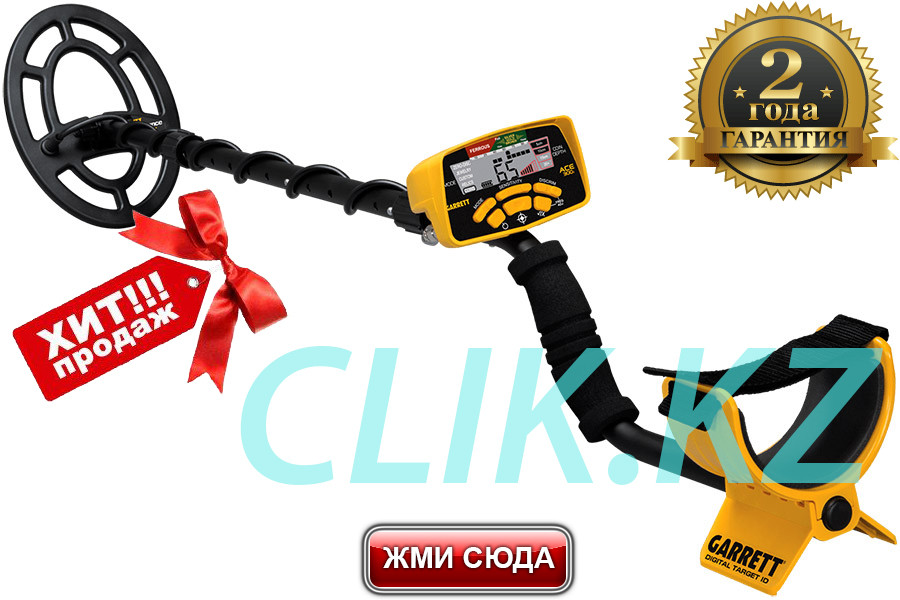 Металлоискатель GARRETT ACE 300i