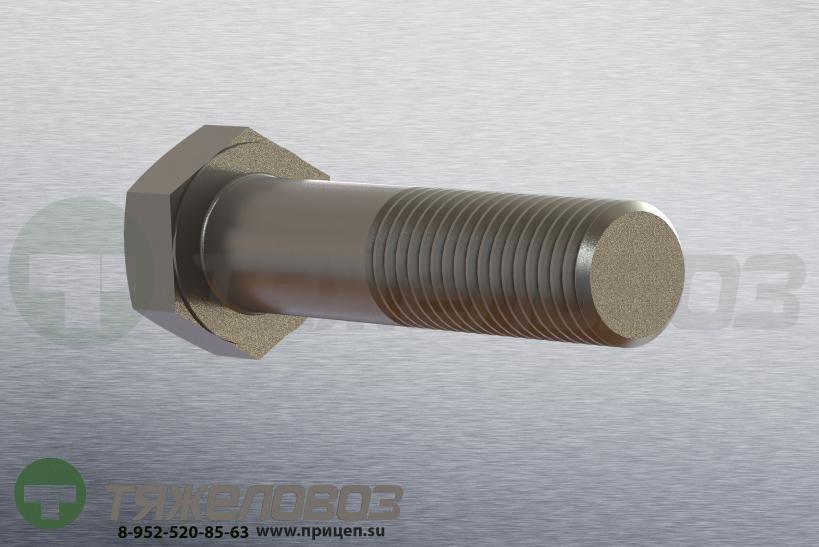 Болт амортизатора M 24 x 100 - 8.8 / SW 36 BPW 03.340.14.15.0