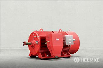 Helmke индукциялық жоғары вольтты тиін торлы электр қозғалтқышы