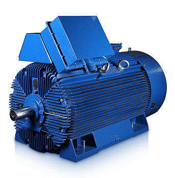 Высоковольтный электродвигатель Cantoni серии SH