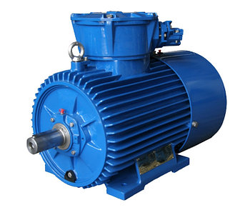 Трехфазный взрывозащищенный двигатель Cantoni с короткозамкнутым ротором серии dSg