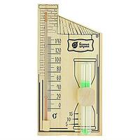 Термометр с часами