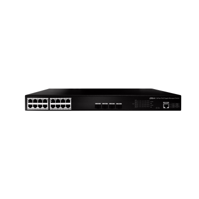Dahua PFS4420-16GT-250, фото 2