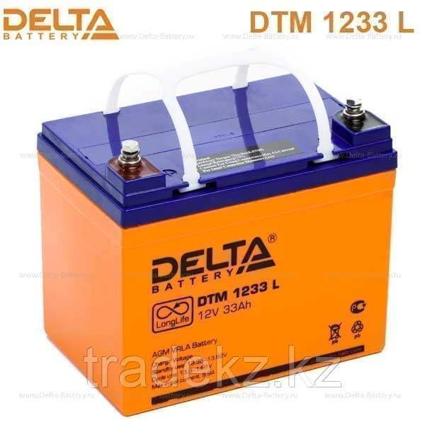 Аккумулятор DELTA DTM 1233 L 12V/33 A*ч - фото 1 - id-p62208659