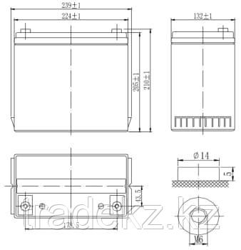 Аккумулятор DELTA DTM 1255 L, 12V/55 A*ч, фото 2