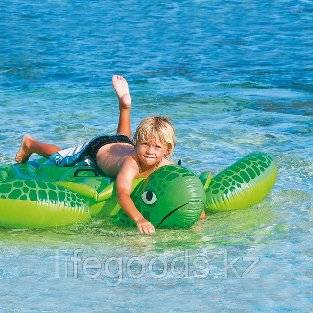 Ыстық брюнетка қыз