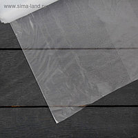 Плёнка полиэтиленовая, толщина 120 мкм, 3 × 100 м, рукав, прозрачная, Эконом
