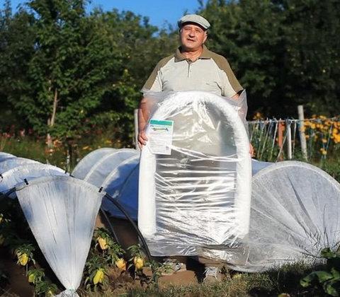 Парник - теплица «Подснежник/Вырастайка» [от 3 до 8 метров] с укрывным материалом спанбонд (4 метра), фото 1