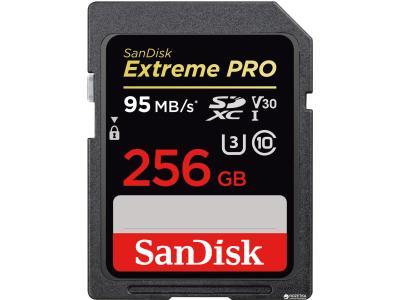 Карта памяти SanDisk SDSDXXG-256G-GN4IN 256GB