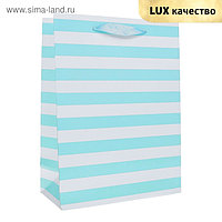 Пакет "Голубые полоски", люкс, 26 х 10 х 32 см