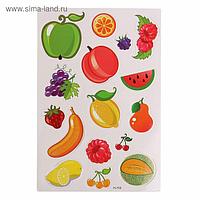 Набор развивающих магнитов "Изучаем фрукты", магниты: 6,5 × 6 см, 2,5 × 8 см, 2,5 × 2 см