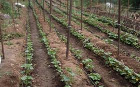Продажа участков