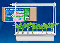 Светильник для растений светодиодный ULT-P44D-10W/SPLE IP20 AQUA SIMPLE WHITE Набор для гидропоники